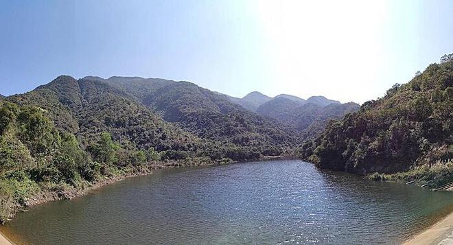 流氓兔的马拉松大冒险